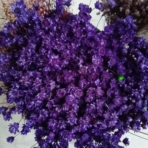 Purple Dried Flower Bouquet